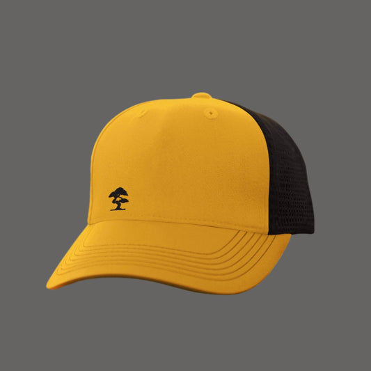 Logo Cap AT511