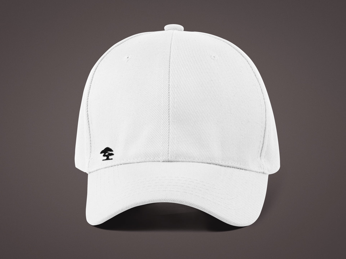 Logo Cap Flexfit FX6277