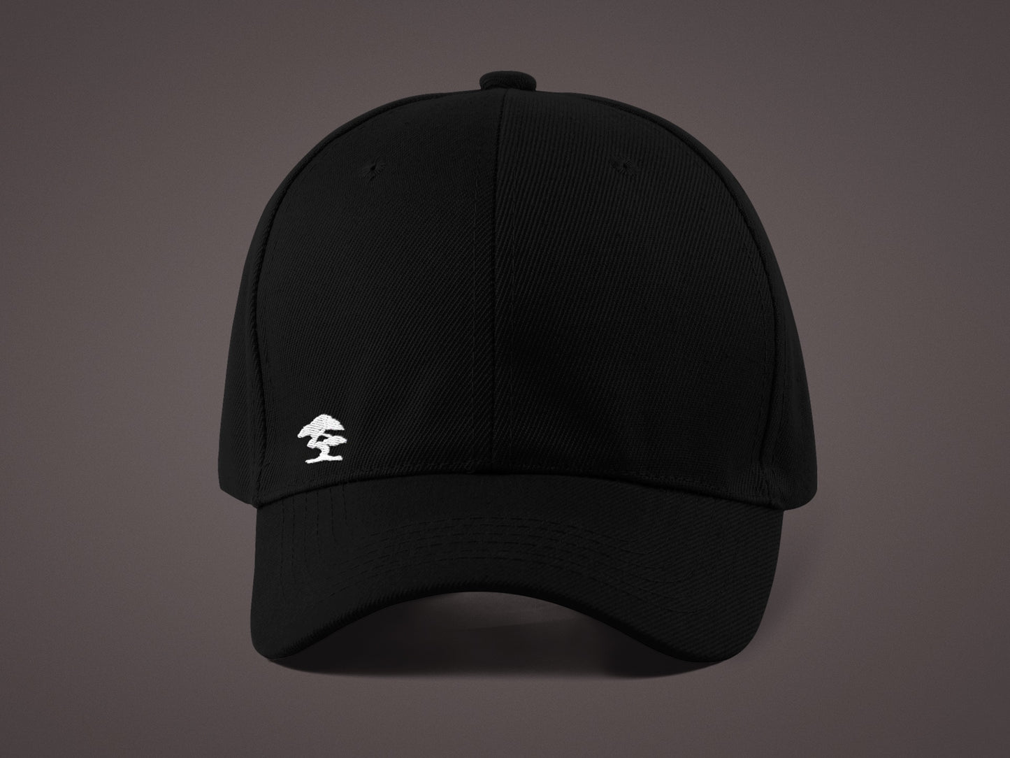 Logo Cap Flexfit FX6277